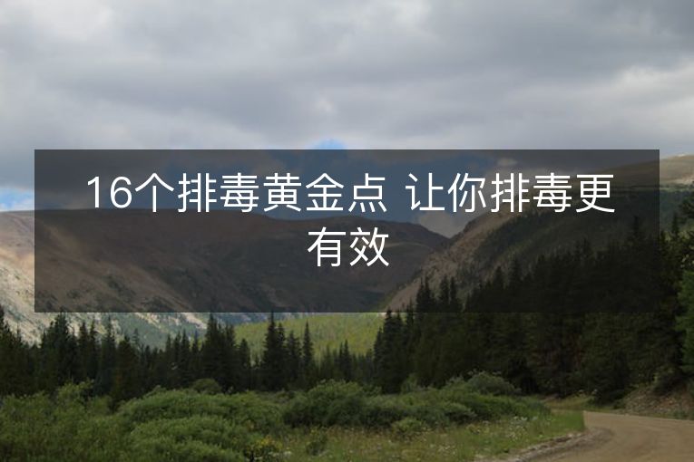 16个排毒黄金点 让你排毒更有效 16个排毒黄金点 让你排毒更有效
